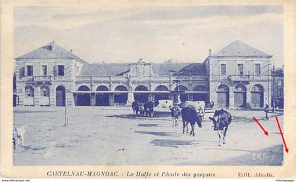 65 Hautes PYRENEES Vaches à la fontaine devant la Halle et l'école de CASTELNAU-MAGNOAC