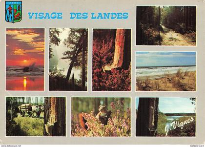 40 CASTETS VISAGES DES LANDES