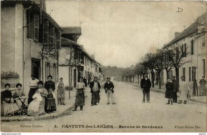 CPA AK Castets - Castets-des-Landes - Avenue de Bordeaux (776945)