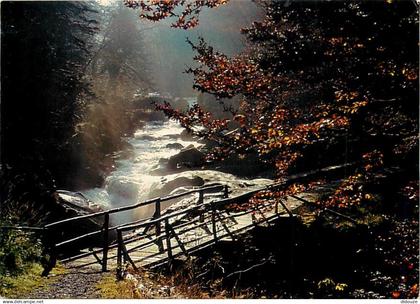 65 - Cauterets - Environs de Cauterets - La Passerelle de l'Ours - CPM - Voir Scans Recto-Verso