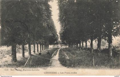 CERISIERS : LES PROMENADES