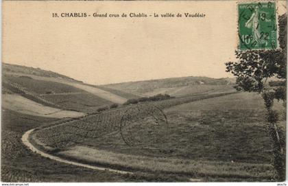 CPA AK Chablis Grand crus de Chablis FRANCE (1176074)