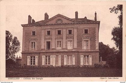¤¤    -    CHAILLAND   -   Chateau des Courgés    -   ¤¤