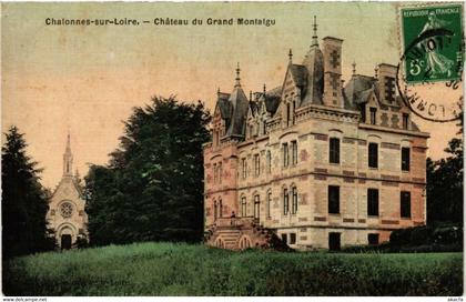 CPA AK CHALONNES-sur-LOIRE Chateau du Grand MONTAIGU (606313)