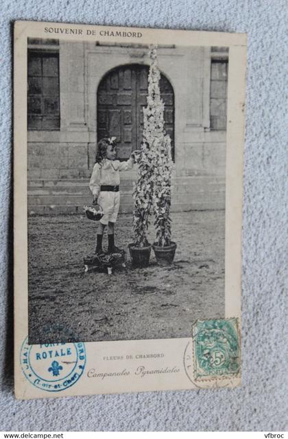 Cpa 1907, Chambord, fleurs de Chambord, Loir et Cher 41