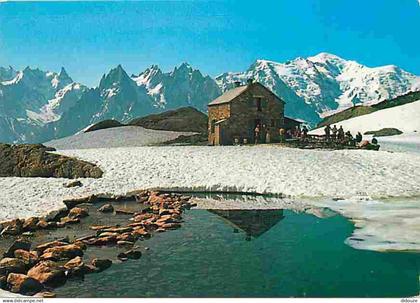 74 - Chamonix - Mont-Blanc - Le Lac Blanc - Panorama sur les Aiguilles et le Mont-Blanc - Chalet de Montagne - Neige - H