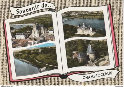 49 - CHAMPTOCEAUX - Souvenir de Champtoceaux
