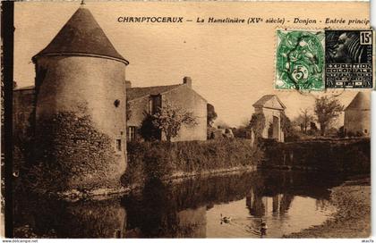 CPA Champtoceaux La Hameliniere (1180077)