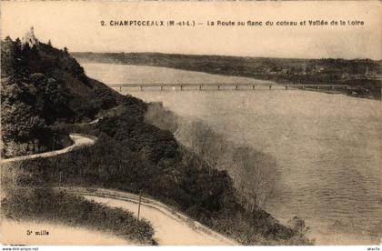CPA Champtoceaux La Route (1180763)
