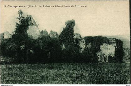 CPA Champtoceaux Ruines du Prieuré (1180481)