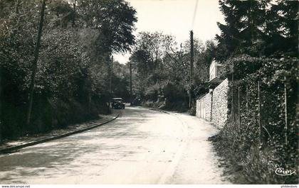 YVELINES  CHANTELOUP LES VIGNES ( cpsm)