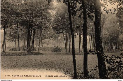 CPA Chantilly - Foret de Chantilly - Route des Lions (1032142)