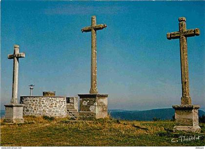 58 - Chateau Chinon - Le calvaire - CPM - Voir Scans Recto-Verso