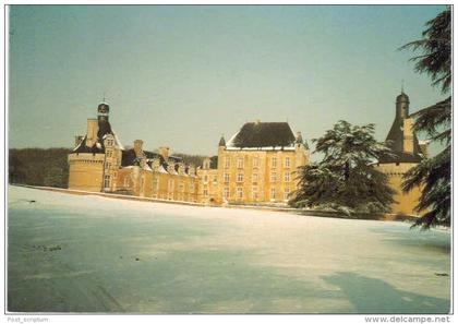 Château de Touffou - Bonnes - en hiver