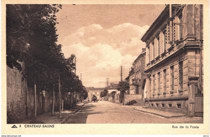 Carte postale ancienne de CHATEAU SALINS