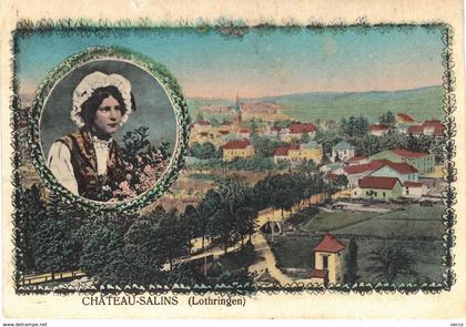 Carte postale ancienne de  CHATEAU -  SALINS