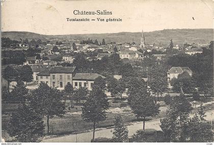 CPA Château-Salins Totalansicht - vue générale