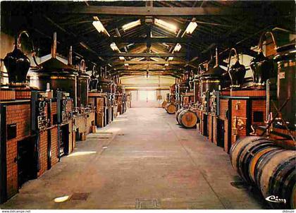 16 - Chateauneuf sur Charente - Société Vaud - Distillerie de Cognac - Carte Neuve - CPM - Voir Scans Recto-Verso