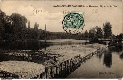 CPA CHATEAUNEUF-sur-CHER - Boissereau - Digue sur le Cher (634624)