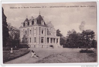 Château de la Roche Verouillère - Chateauneuf-sur-Sarthe