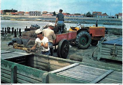 Carte POSTALE  Ancienne  de  CHATELAILLON - PLAGE / Triage des moules