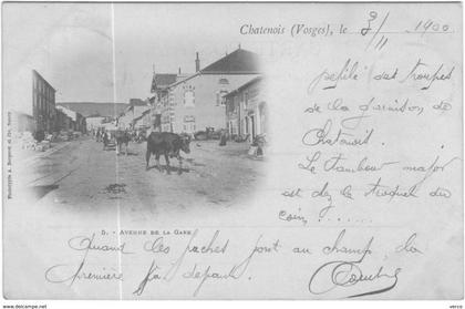 Carte Postale Ancienne de CHATENOIS