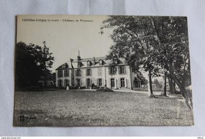 Chatillon Coligny, château de Puiseaux, Loiret 45