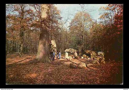 92 - Chaville - Le Bois de Chaville - CPM - Voir Scans Recto-Verso