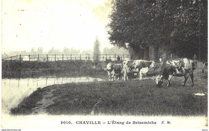 Carte  POSTALE  ANCIENNE de CHAVILLE - Etang de brisemiche