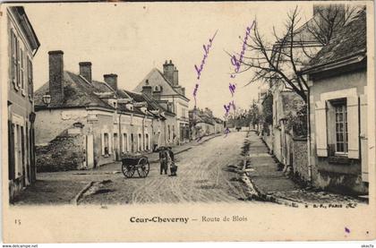 CPA COUR-CHEVERNY - Route de BLOIS (127991)