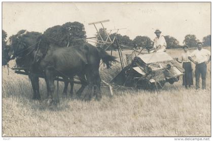 CIVRAY - Carte Photo - Faucheuse, Chevaux attelés