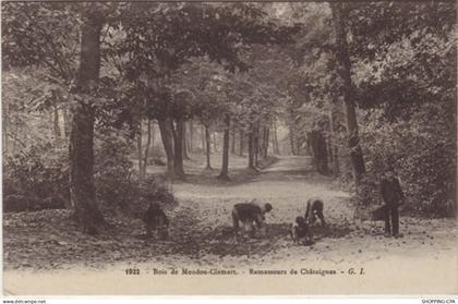 92 - bois de Meudon Clamart - Ramasseurs...