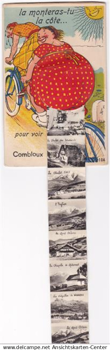 13811895 - Combloux