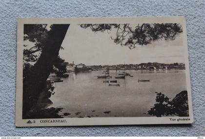 B544, Concarneau, vue générale, Finistère 29