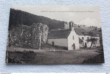 Condat, ruines de l'abbaye cistercienne de Féniers, Cantal