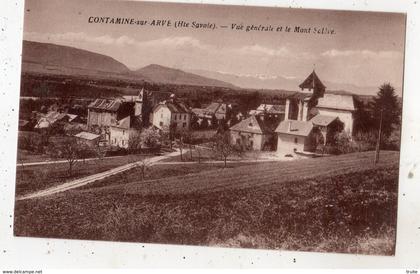 CONTAMINE-SUR-ARVE VUE GENERALE ET LE MONT SALEVE