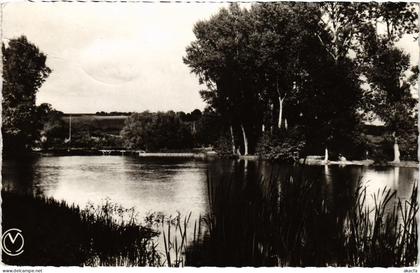 CPM Coulanges-sur-Yonne Bords de l'Yonne (1184358)