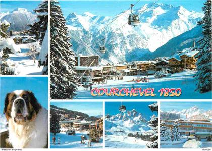 73 - Courchevel - Multivues - Chiens - Saint Bernard - CPM - Voir Scans Recto-Verso