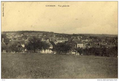 CPA (89)    COURSON LES CARRIERES  ( vue generale )