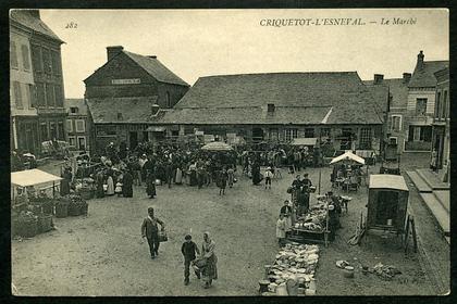 76 - CRIQUETOT-L'ESNEVAL - Le marché