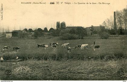 ECLARON(VACHE)