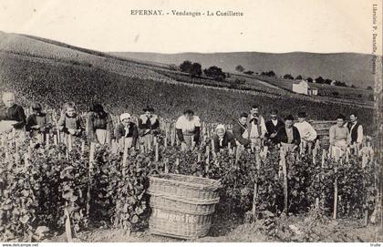 EPERNAY VENDANGES LA CUEILLETTE