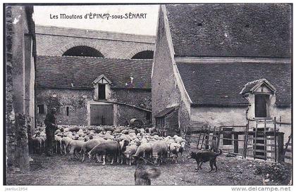 EPINAY SOUS SENART LES MOUTONS