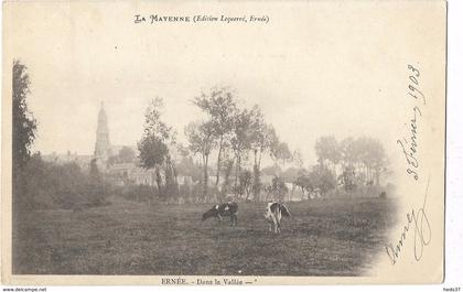 La Mayenne - Ernée - Dans la Vallée