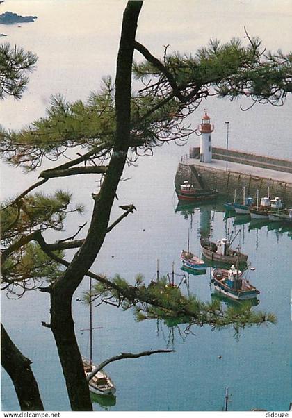 22 - Erquy - Le port à travers les arbres - Bateaux - Flamme Postale de Erquy - CPM - Voir Scans Recto-Verso