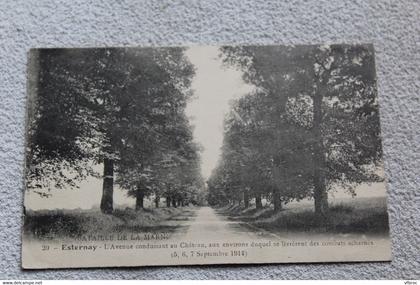 Cpa 1919, Esternay, l'avenue conduisant au château, Marne 51