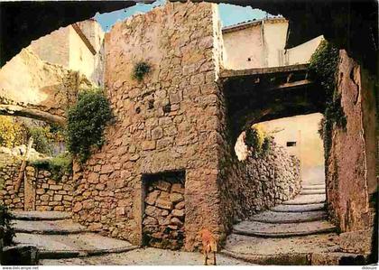 83 - Fayence - Vieille Rue - CPM - Voir Scans Recto-Verso