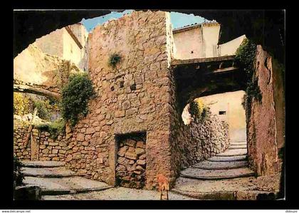 83 - Fayence - Vieille Rue - CPM - Voir Scans Recto-Verso