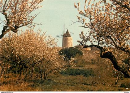 13 - Fontvieille - Le Moulin de Daudet - CPM - Carte Neuve - Voir Scans Recto-Verso