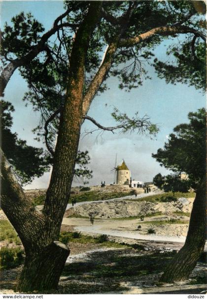 13 - Fontvieille - Le Moulin de Daudet - CPM - Oblitération hexagonale - Voir Scans Recto-Verso